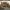 https://res.cloudinary.com/billionhands/image/upload/v1780465261/items/crpcx8foqecm6hia9zbr.jpg-3cover