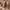 https://res.cloudinary.com/billionhands/image/upload/v1780465334/items/d30xpskrwarbshgf4jup.jpg-0cover