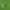 https://res.cloudinary.com/billionhands/image/upload/v1780465481/items/gb8wlwnvojmmlm8lxsoa.jpg-1cover
