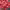 https://res.cloudinary.com/billionhands/image/upload/v1780465620/items/xim1ave5us3fkdg5kcao.webp-2cover