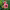 https://res.cloudinary.com/billionhands/image/upload/v1780465621/items/codhstgeri5f0cvjguyt.avif-3cover