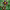 https://res.cloudinary.com/billionhands/image/upload/v1780465627/items/dbmgc6dlidkonytpbm5a.jpg-1cover