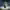 https://res.cloudinary.com/billionhands/image/upload/v1780465828/items/n0uxxtdccfpyvzpxutqa.webp-2cover