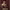 https://res.cloudinary.com/billionhands/image/upload/v1780465840/items/f9mwfehwwhijkgwfdkcs.webp-3cover