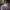https://res.cloudinary.com/billionhands/image/upload/v1780466468/items/vjgqd9dv9kyvqkvga8ka.webp-1cover