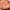 https://res.cloudinary.com/billionhands/image/upload/v1780466470/items/g1cycy61uo4jp2ys44oi.webp-3cover