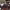 https://res.cloudinary.com/billionhands/image/upload/v1780466583/items/g2dnnrjfnrqyrl95czfg.jpg-0cover