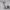 https://res.cloudinary.com/billionhands/image/upload/v1780466981/items/ygcqrxmnd7ki3xuiul2d.jpg-0cover