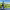 https://res.cloudinary.com/billionhands/image/upload/v1780467040/items/zzrhtp9hqcaew9qrbvsa.jpg-1cover