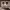 https://res.cloudinary.com/billionhands/image/upload/v1780467279/items/h6pb7braz640zdoxdgcx.jpg-1cover