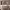https://res.cloudinary.com/billionhands/image/upload/v1780467285/items/dmpgq69yqsbzsetp0r2o.webp-0cover