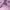 https://res.cloudinary.com/billionhands/image/upload/v1780468009/items/j9fl0yxkngkzl0wl2hxn.jpg-3cover