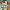 https://res.cloudinary.com/billionhands/image/upload/v1780468010/items/sbedrktswbknsywdwude.jpg-2cover