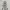 https://res.cloudinary.com/billionhands/image/upload/v1780468020/items/h8tshyoheo0ghaaosep9.webp-1cover