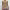 https://res.cloudinary.com/billionhands/image/upload/v1780468023/items/evcpbbdwg6aom2q3tfay.webp-0cover