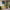 https://res.cloudinary.com/billionhands/image/upload/v1780468040/items/excy3jomn1ppz1eyxuxs.webp-1cover