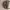 https://res.cloudinary.com/billionhands/image/upload/v1780468042/items/pmreyx1aaxqfvy3ce1y6.jpg-3cover