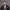https://res.cloudinary.com/billionhands/image/upload/v1780468136/items/qurnww2qlu9zjwqonow4.jpg-0cover