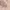 https://res.cloudinary.com/billionhands/image/upload/v1780468292/items/tciwc7sjxoa4xhksate6.jpg-2cover