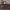 https://res.cloudinary.com/billionhands/image/upload/v1780468336/items/iqu3a9pn1ctv18mjpzkr.png-0cover
