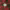 https://res.cloudinary.com/billionhands/image/upload/v1780468522/items/gdiamvtebdkzbsiqeryl.jpg-3cover