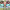 Franky cover