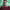 https://res.cloudinary.com/billionhands/image/upload/v1780469259/items/udbmhyxywpzzhv0fyyxz.jpg-2cover