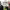 https://res.cloudinary.com/billionhands/image/upload/v1780469549/items/vfhxeczhdbddtheugrrd.jpg-2cover