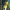 https://res.cloudinary.com/billionhands/image/upload/v1780469567/items/cms8l2bdmhhzyglif3d1.jpg-1cover
