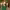 https://res.cloudinary.com/billionhands/image/upload/v1780469571/items/m0bdqdq3pnsufwocnlmo.jpg-2cover