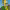https://res.cloudinary.com/billionhands/image/upload/v1780469826/items/kigggc8n7ahn2juvyy68.webp-0cover