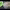 https://res.cloudinary.com/billionhands/image/upload/v1780470003/items/olxo8d0gszkw0khguuxx.jpg-1cover