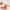 https://res.cloudinary.com/billionhands/image/upload/v1780470365/items/jtnitmbfrsyaevwq5lot.jpg-0cover