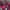 https://res.cloudinary.com/billionhands/image/upload/v1780470618/items/gdc07oxoepy9rrotpozm.jpg-1cover