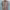https://res.cloudinary.com/billionhands/image/upload/v1780470868/items/b50yxtb8xmfibnwokioc.jpg-2cover