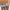 https://res.cloudinary.com/billionhands/image/upload/v1780471016/items/mjrabctrlaydr60knzwe.jpg-1cover