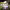https://res.cloudinary.com/billionhands/image/upload/v1780471277/items/eelcpcm7yyzs22i1dgdy.webp-2cover