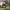https://res.cloudinary.com/billionhands/image/upload/v1780471280/items/sdbgfllebc6errphbyyq.jpg-3cover