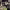 https://res.cloudinary.com/billionhands/image/upload/v1780471293/items/pygo7xvsjheocxxzebqz.webp-1cover