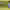 https://res.cloudinary.com/billionhands/image/upload/v1780471397/items/oram9qpqxzwriufce04h.jpg-3cover