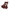 Aromático Hervidor de Sangre cover