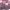 https://res.cloudinary.com/billionhands/image/upload/v1780471744/items/zqhsasxxmojpdc3gsl3w.jpg-3cover