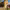 https://res.cloudinary.com/billionhands/image/upload/v1780472069/items/vrz4piacz0wfd9ssiuik.jpg-2cover
