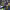 https://res.cloudinary.com/billionhands/image/upload/v1780472086/items/a11dvzlk0z4xa8h8dwa8.jpg-2cover