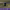 https://res.cloudinary.com/billionhands/image/upload/v1780472335/items/oiyx9ple39co9ijkll8n.jpg-2cover