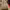 https://res.cloudinary.com/billionhands/image/upload/v1780472641/items/xtjrqgmcgb00chj9qqkr.jpg-2cover