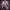 https://res.cloudinary.com/billionhands/image/upload/v1780472644/items/yepdcji5uihc57nhecvg.webp-0cover