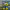 https://res.cloudinary.com/billionhands/image/upload/v1780472678/items/i05ksegm0tudfnuxgur0.webp-0cover
