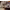 https://res.cloudinary.com/billionhands/image/upload/v1780473132/items/bkqpf1x4hwvpiorcs49b.png-3cover