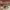 https://res.cloudinary.com/billionhands/image/upload/v1780473336/items/fg0horqhvpcpsqpdpyog.jpg-0cover